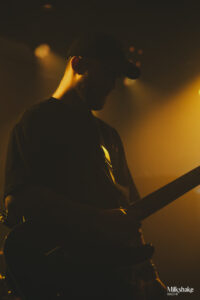 Vestige