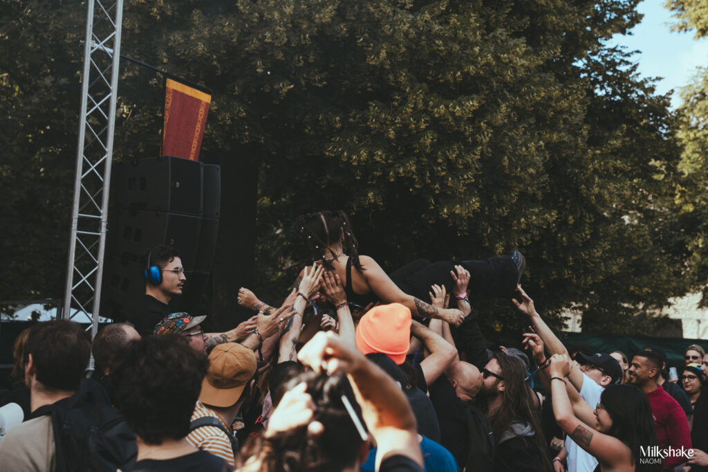 crowd-2